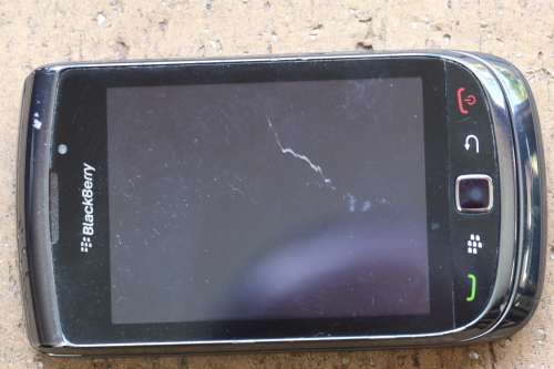 Blackberry Torch