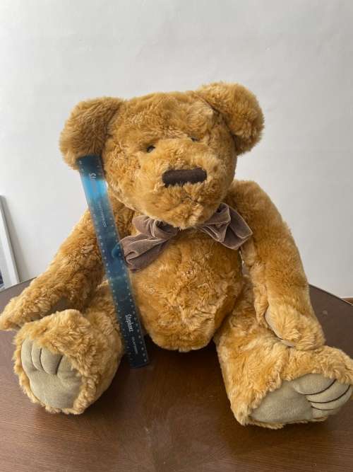 Beautiful vintage teddy bear