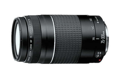 ** WIN ME ** Canon EF 75-300mm f4-5.6 III Telephoto ZOOM Lens