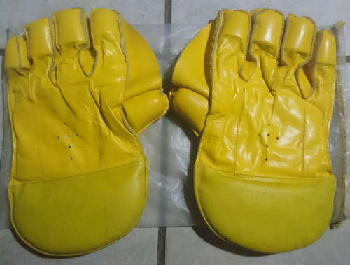 BAS Wicket Keeper Gloves (Youth to Men)