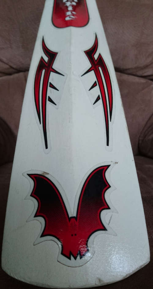 Bas Vampire Tusk - Kashmir Willow (Size:H or 6) - Please Read - Ready To Use!