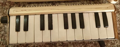 Pianica 22 (Please Read)