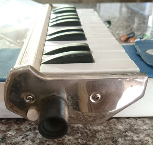 Pianica 22 (Please Read)