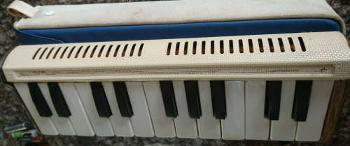 Pianica 22 (Please Read)