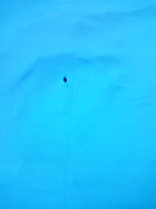 Please Read - Camp-master Beach Shade (Large)