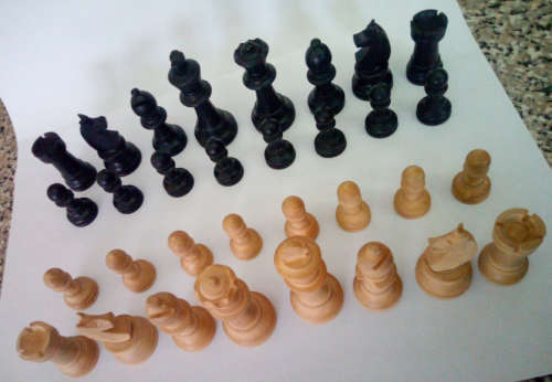 Wooden Chess Pieces Plus Wooden Jenga Bocks