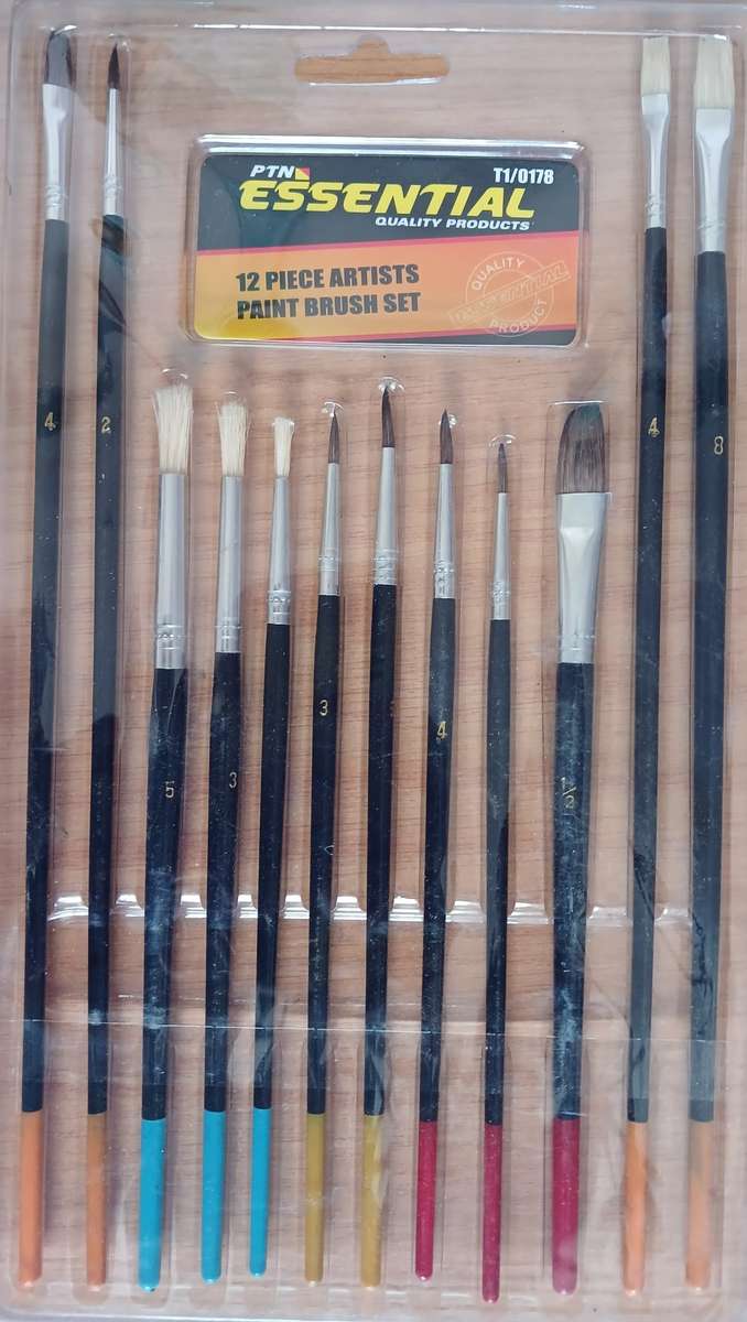 12 Piece Arts/Craft Paint Brushes (1 bid for 2 sets)