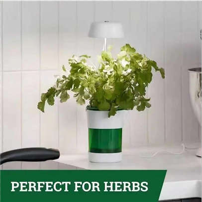 LED Plant Light Automatic Watering Desktop Flower Pot