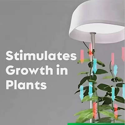 LED Plant Light Automatic Watering Desktop Flower Pot