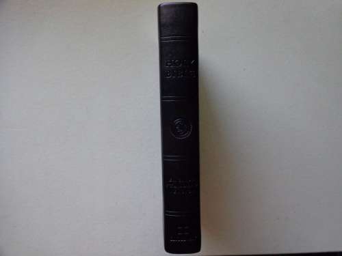 New ESV Pocket Bible (Trutone leather)