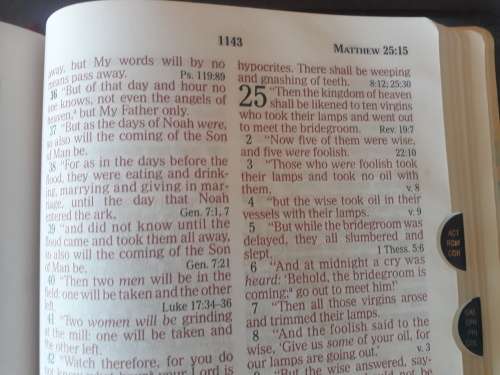 Thomas Nelson NKJ HOLY BIBLE Reference (US import)  - Burgundy Bonded Leather, Thumb Index, as New