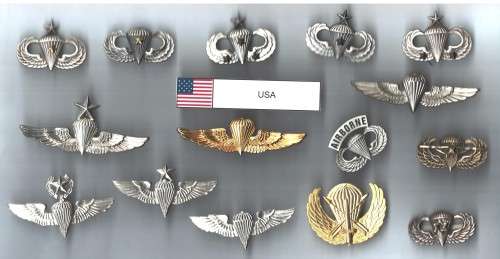 USA Para Wing Collection - pins in tact