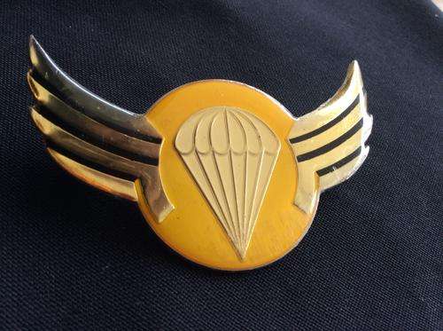 Bophuthatswana Basic Para Wing - Full Size - 3 pins in tact