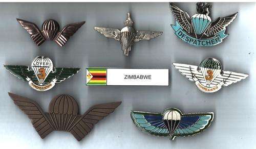 Zimbabwe Para Wings & Beret Badges collection - assorted qualification wings - all pins intact