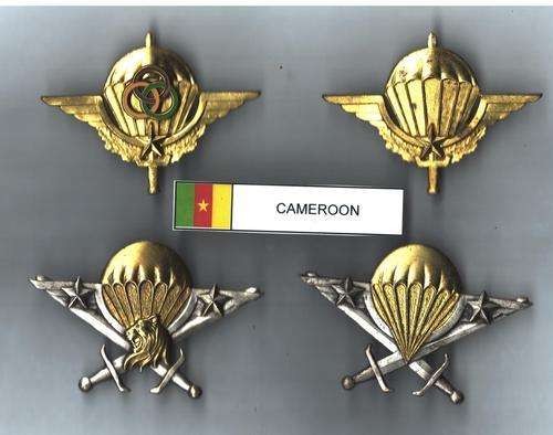 Camaroon Para Wings - All pins intact