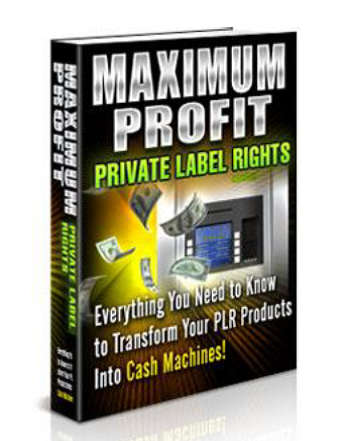 CASHING IN ON PLR RIGHTS - EBOOK