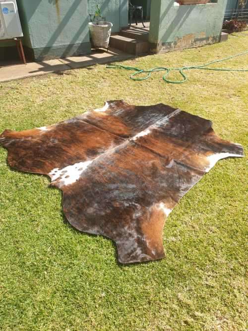 NEW TANNED NGUNI SKINS