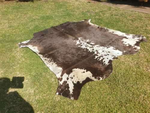 NEW TANNED NGUNI SKINS