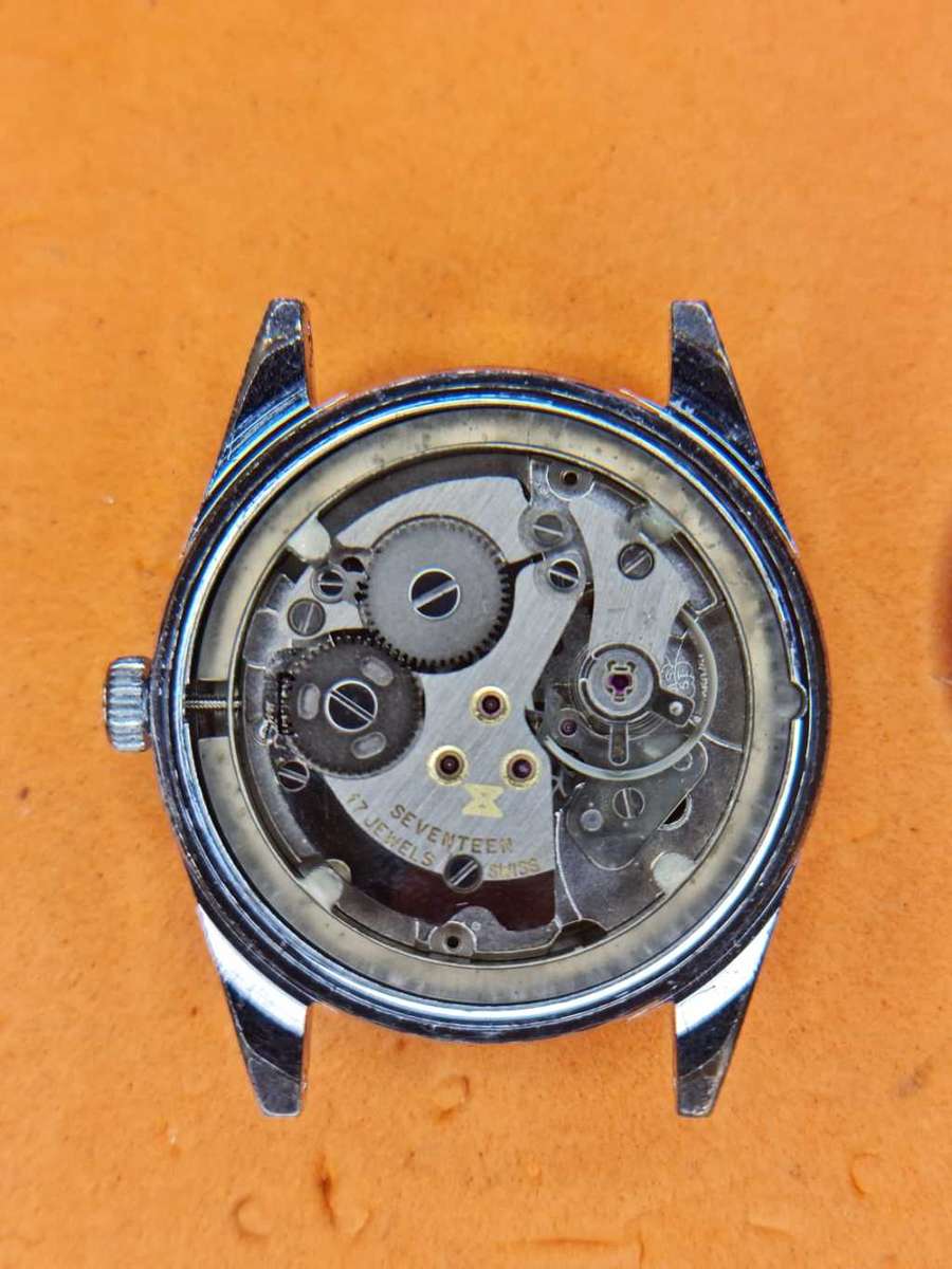 Vintage 70s Swiss Delfin Edox