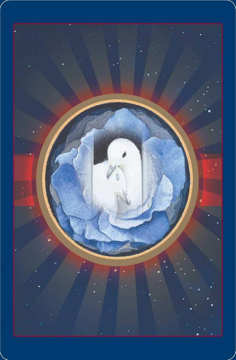 Animal Love Oracle Cards