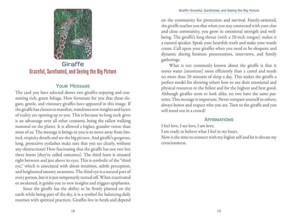 Animal Love Oracle Cards