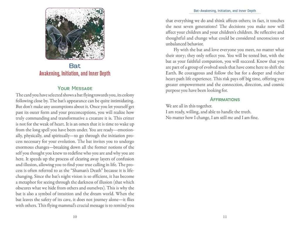 Animal Love Oracle Cards