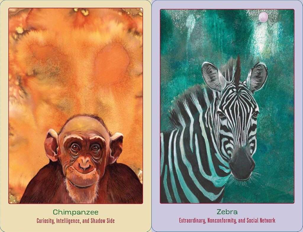 Animal Love Oracle Cards