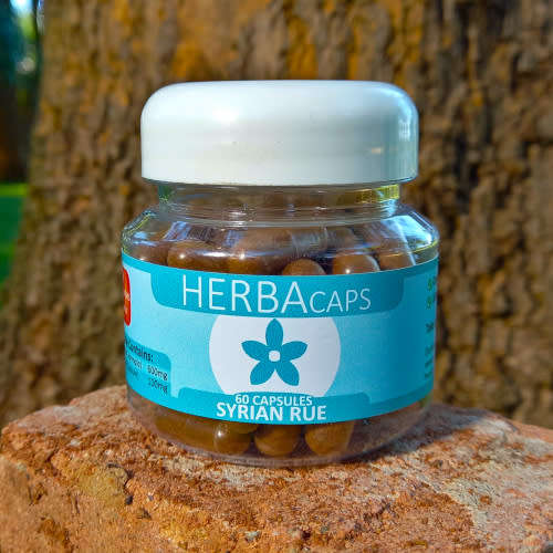 Syrian Rue Capsules - 60 x 600mg
