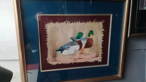 Elize oosthuizen ,paintings of ducks