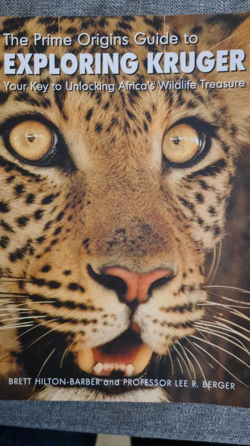 The prime origins guide to exploring Kruger - your key to unlocking Africa`s Wildlife treasure