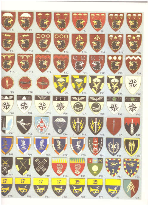 MILITARY BADGES OF SOUTH AFRICA