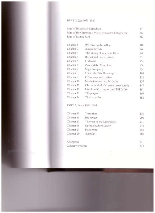 OUT OF ACTION: THE POWERFUL SEQUEL TO FIREFORCE