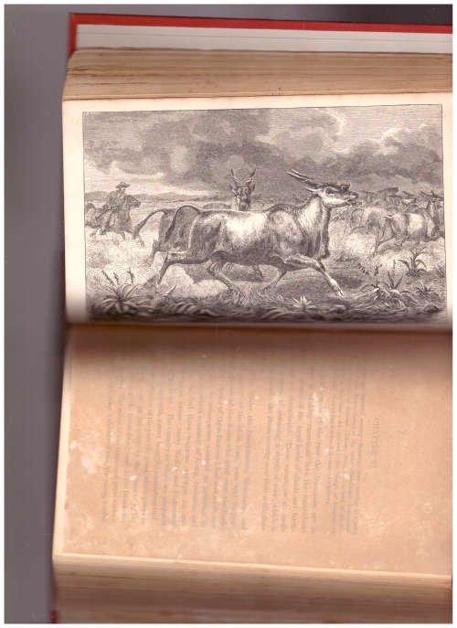 SPORTING SCENES AMONGST THE K*****S OF SOUTH AFRICA  1860 SECOND EDITION