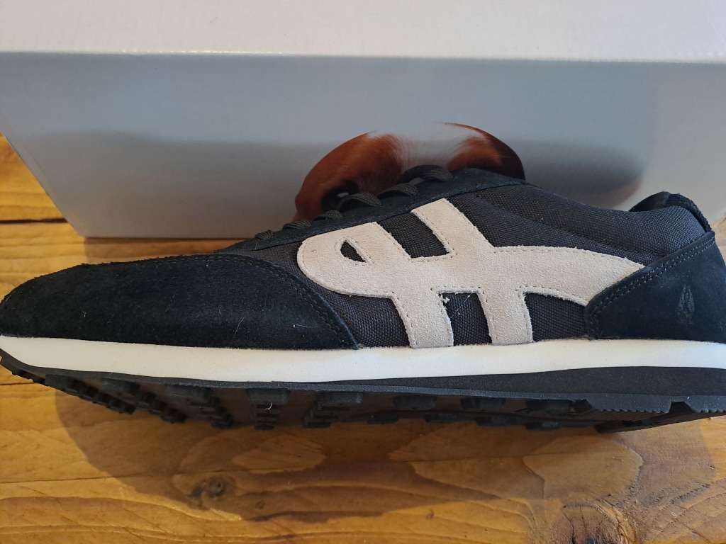 Hush Puppies - Brand New Size 12