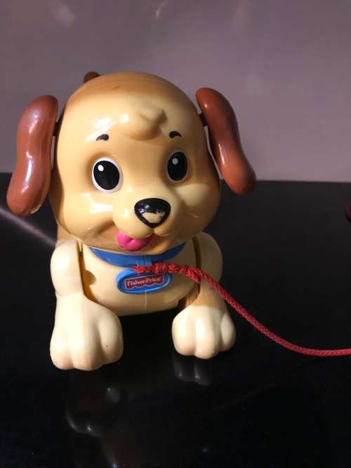 Fisher-price Dog