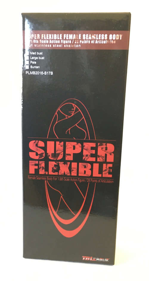 Sixth Scale Kit-bash Figure of Anne Hathaway`s Selina Kyle (Catwoman) with Batman`s Cowl