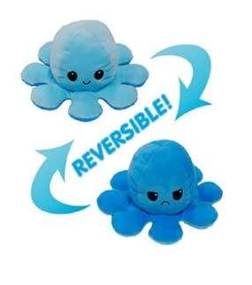 The Reversible Octopus Plushie