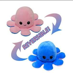The Reversible Octopus Plushie