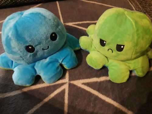 The Reversible Octopus Plushie