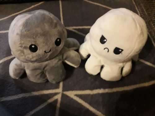 The Reversible Octopus Plushie