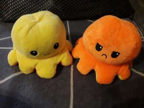 The Reversible Octopus Plushie