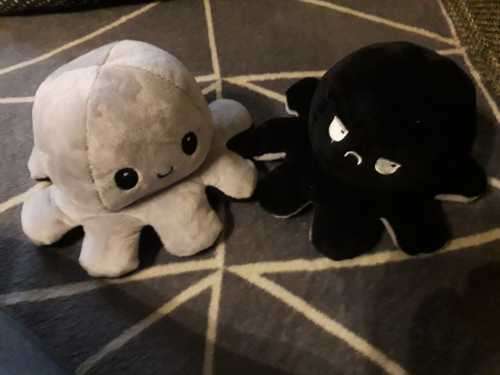 The Reversible Octopus Plushie