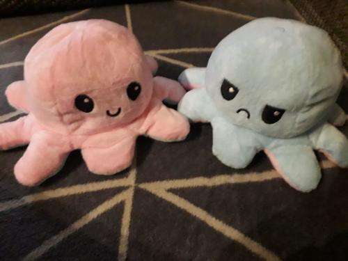 The Reversible Octopus Plushie