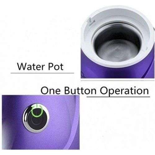 Professional Facial Steamer/Nebulizer