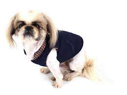 Doggy Jacket - Red, yellow grey stripes material