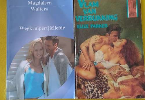 Afrikaans Adult Story Books x 2