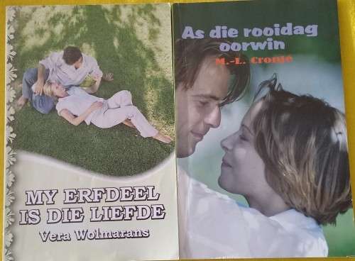 Afrikaans Adult Story Books x 2