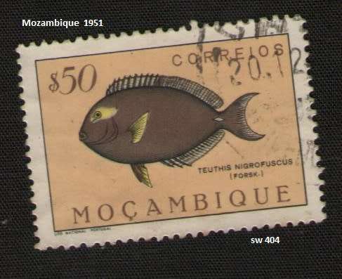 Mozambique used:1951 Fish * 50 C   *Teuthis nigrofuscus