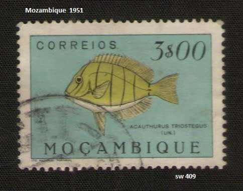  Mozambique used:1951 Fish * 3 E   *Acanthurus triostegus
