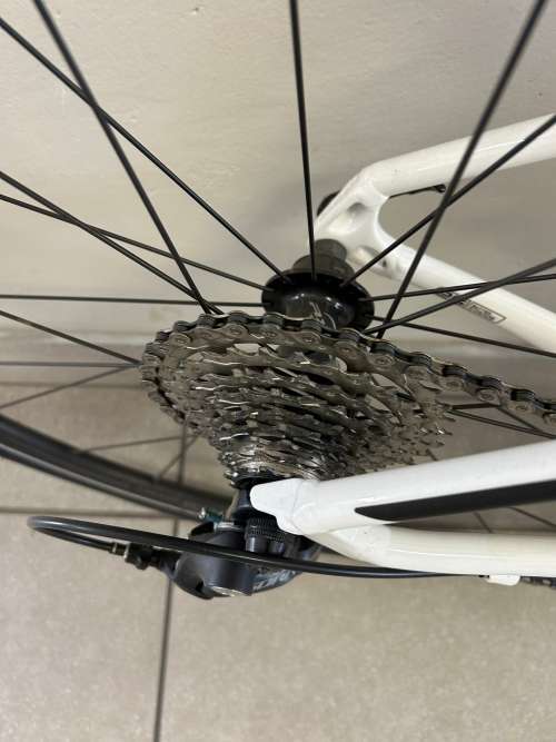 Bicycle Specialized Allez Sport